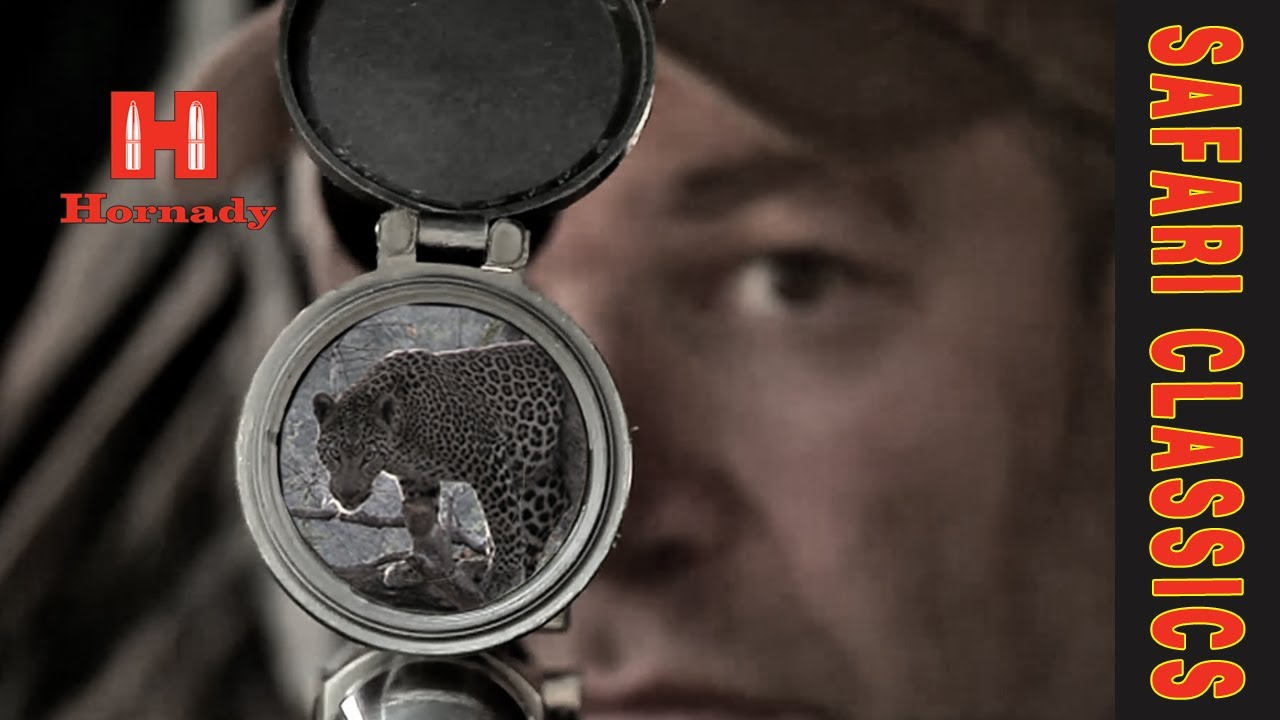 Persistence Pays: A Hard-Won Leopard