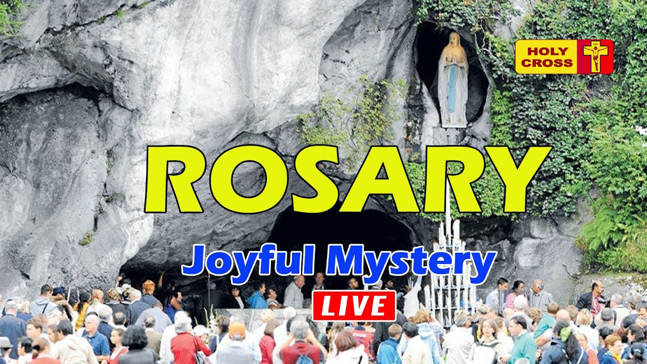 🔴 LIVE -02-03-2026 @ Holy Rosary from Lourdes Grotto | Joyful Mystery | Holy Cross Tv
