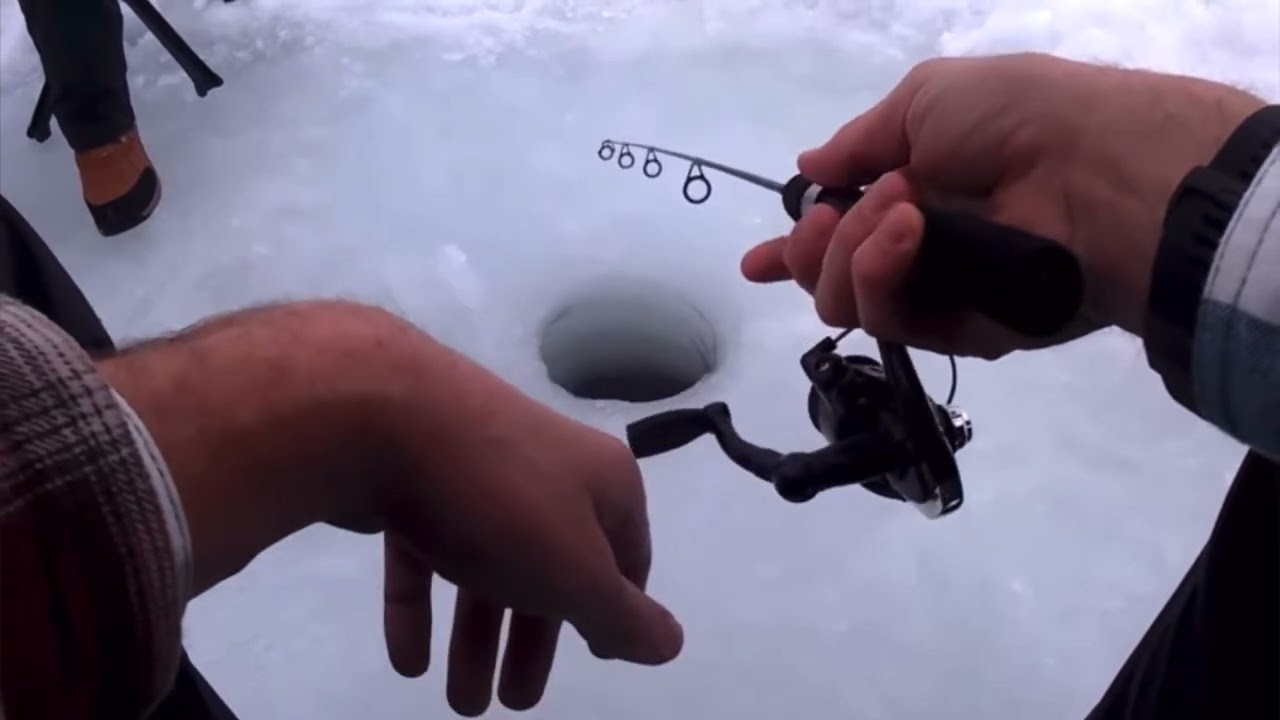 MONSTER RAINBOW TROUT CAUGHT ICE FISHING!!