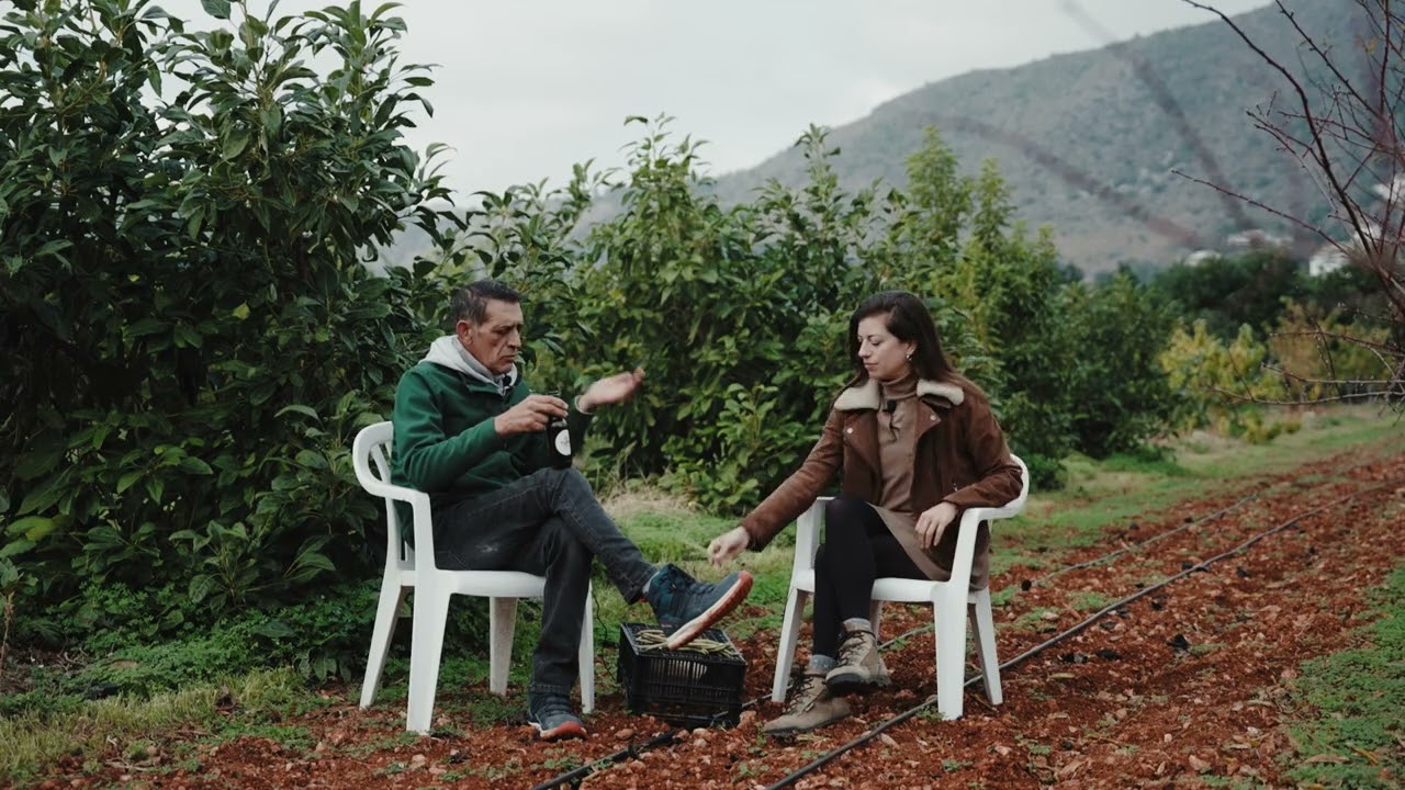 Cuina de Territori.  Joan Folqués y la judia Careto de la Marjal de Pego. Els Magazinos 2025