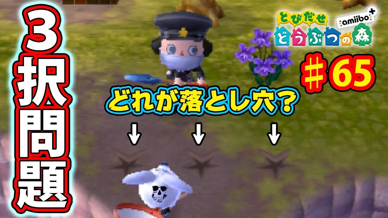 どれか1つが落とし穴!! 命を賭けたデスゲーム!! ♯65【とびだせどうぶつの森 実況プレイ】