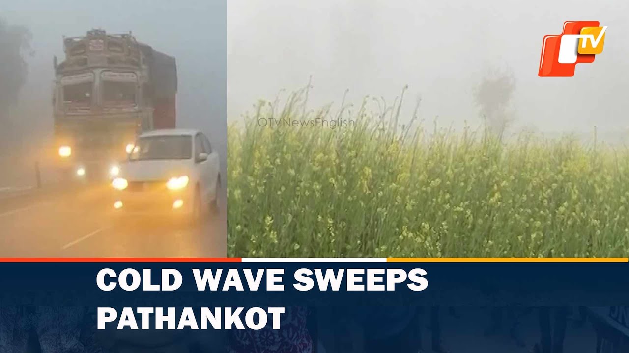 Thick Fog, Biting Cold Sweeps Punjab's Pathankot | OTV News English