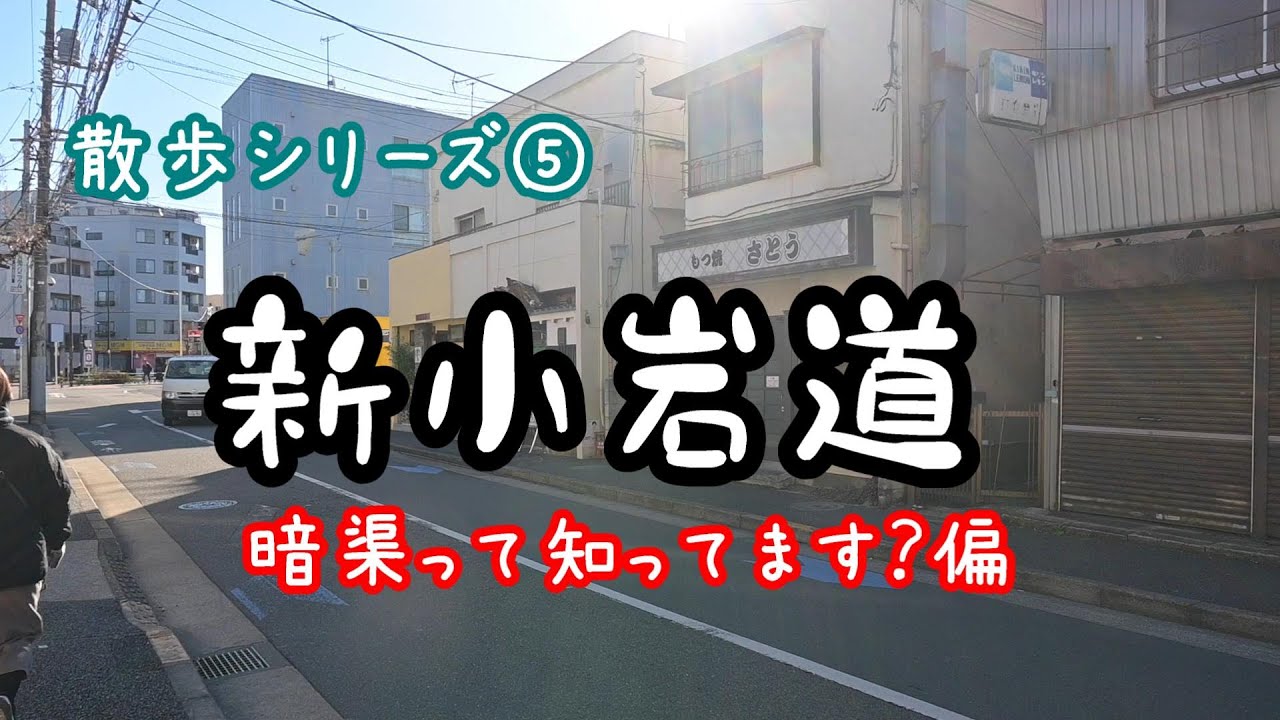 【新小岩】いろんな発見！紹介しながら散歩します。