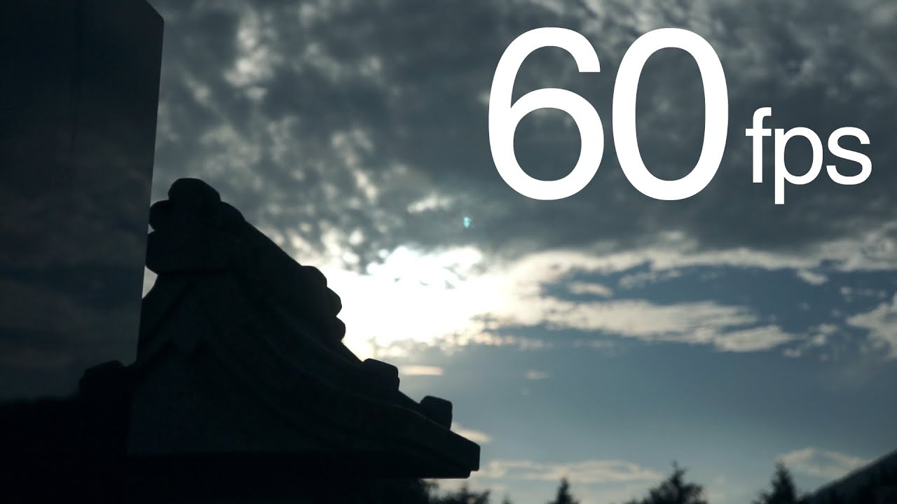 【60fps対応】#14+ シダンゴ山 静かな森を歩く【ひとり登山部LOG】