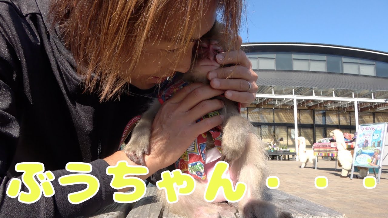 本当の天使になってしまったぶうちゃん・・・そんなぶうちゃんの為に次女が作ってくれました🥹