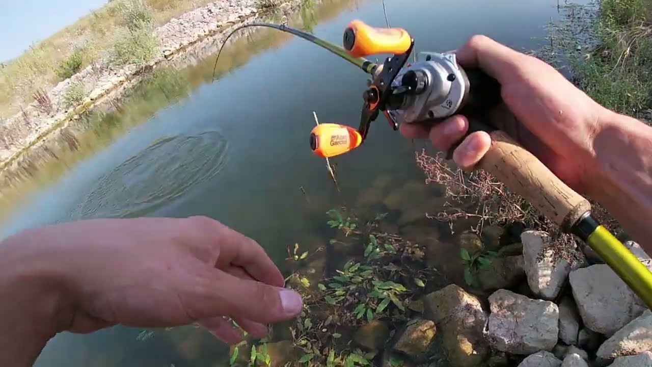 SG Da'Bush Spinnerbait & crazy summer pikes !