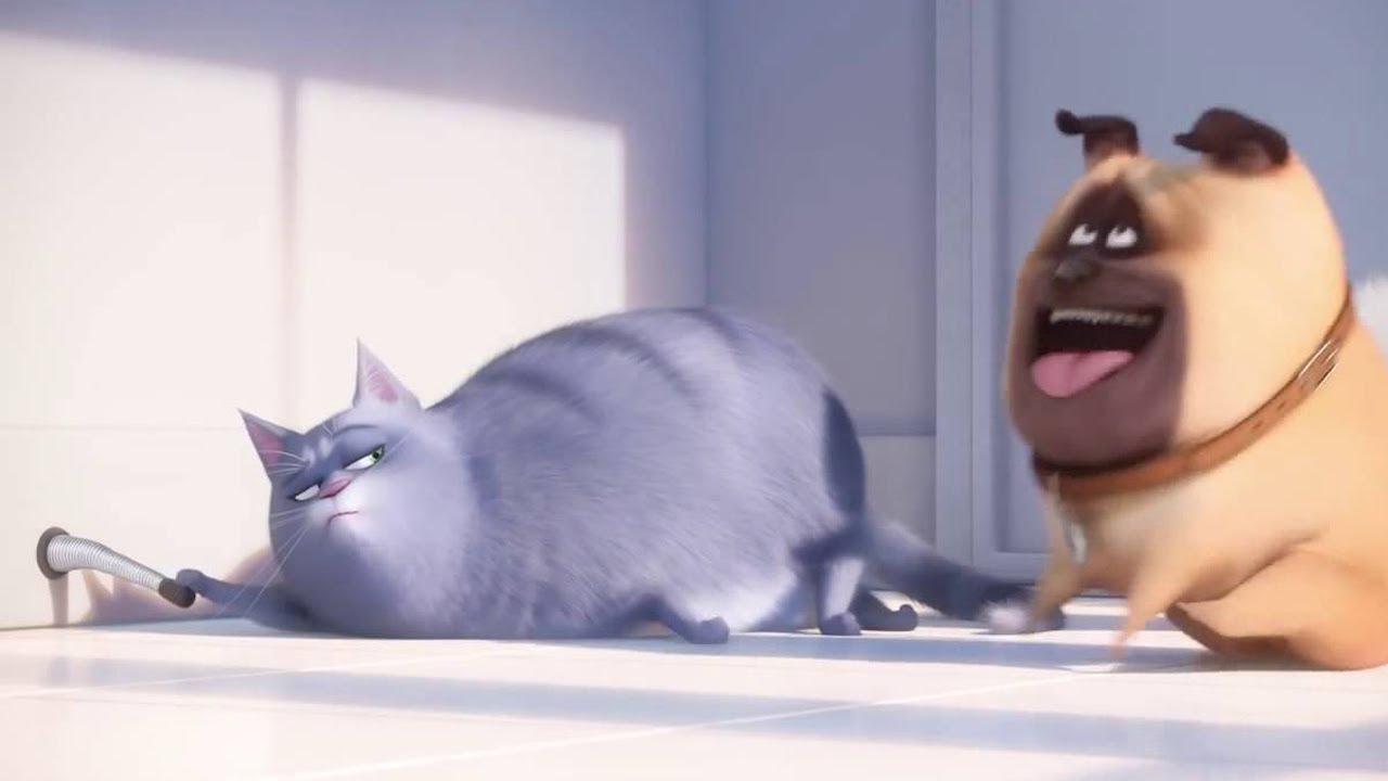 The Secret Life of Pets: Unleashed Android Walkthrough - Gameplay Level 46