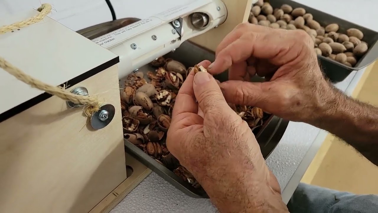 How to Crack PECANS, One at a TIME!  Kinetic Kracker II