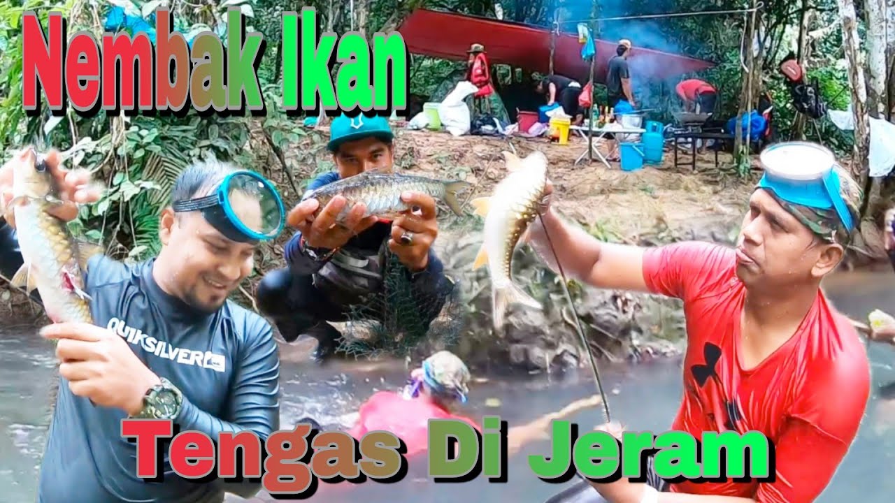Menembak Ikan Tengas Di Sungai Yang Berjeram Trip Perkhemahan Terpadu Di Hutan Part 1 s150