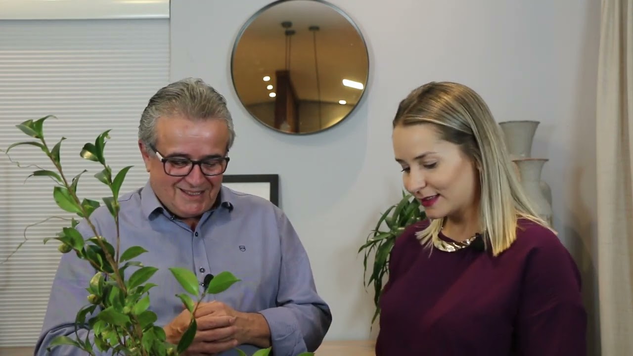 A prática da Ikebana e seu benefício para a saúde | Saúde em Dia