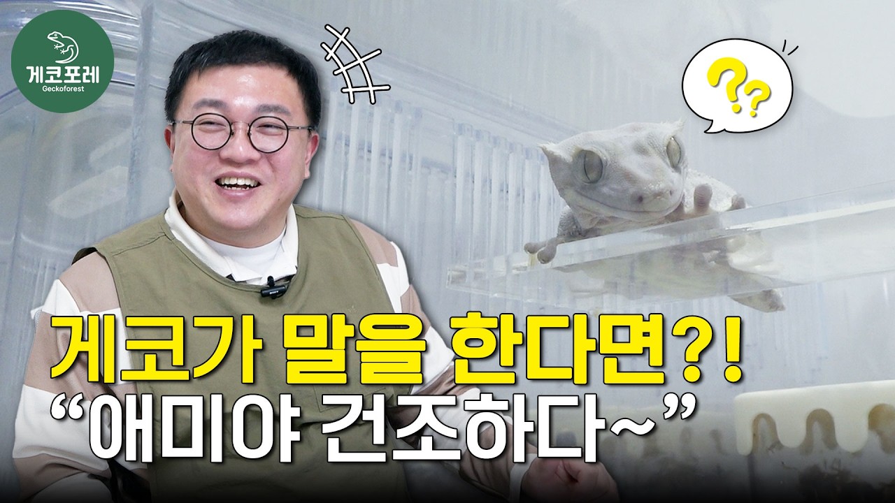 게코가 말을 한다면? 애미야 건조하다~