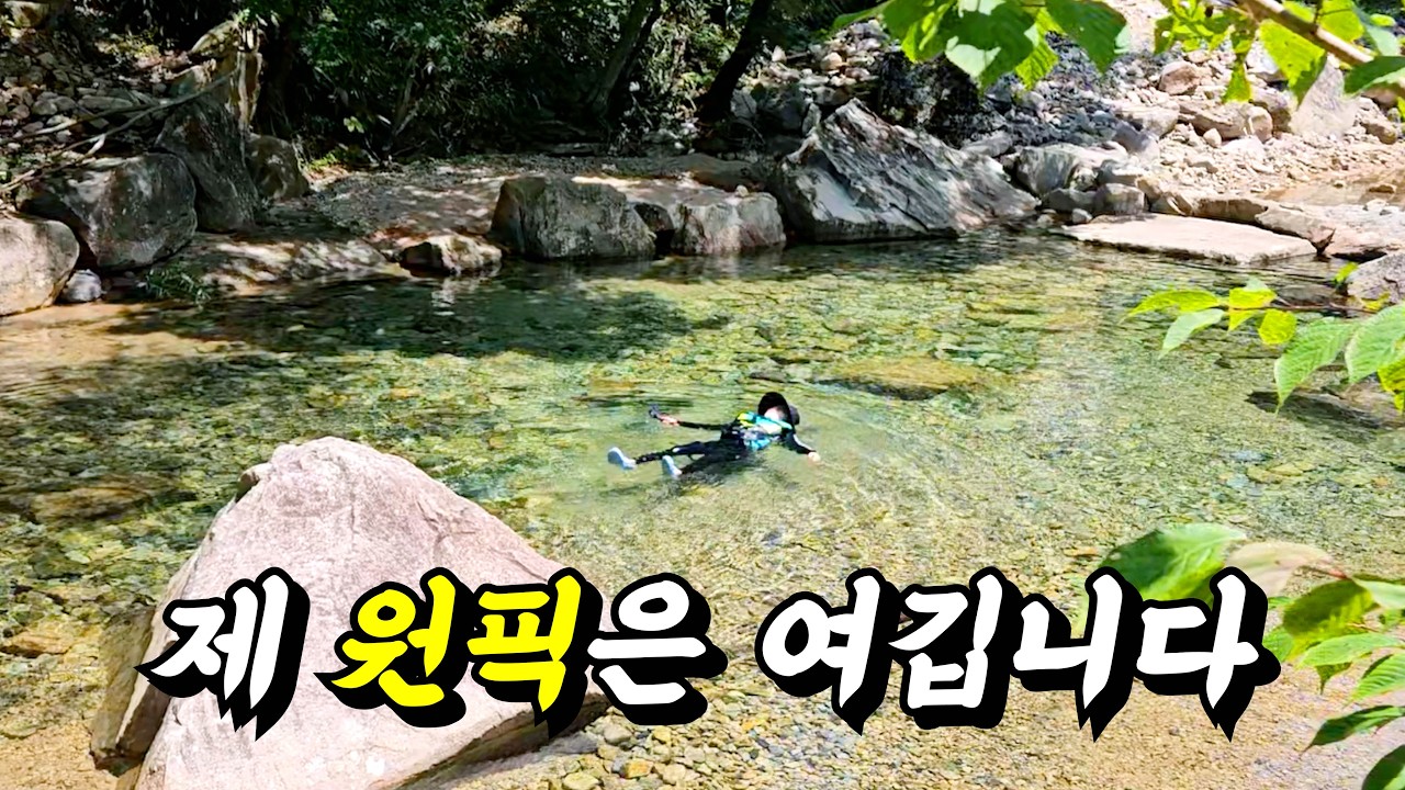 대전에서 1시간, 수질 좋은 계곡 BEST 5
