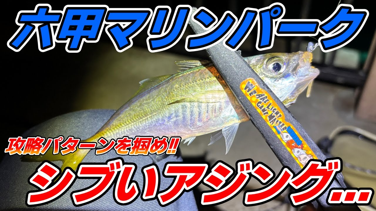 【六甲マリンパーク】アジングするもパターン掴めず苦戦！攻略のカギは放置でドリフト！？
