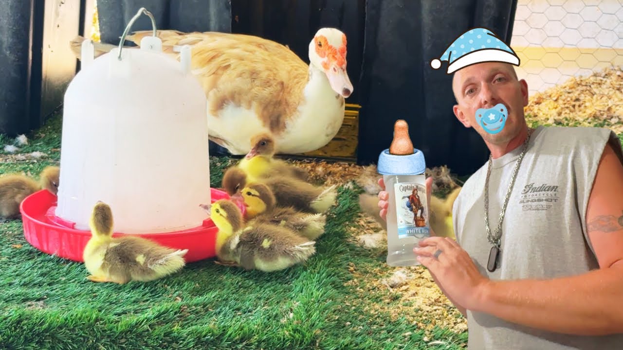 Babies Babies! Just put a nipple on it. Family vlog home projects, fun and more￼