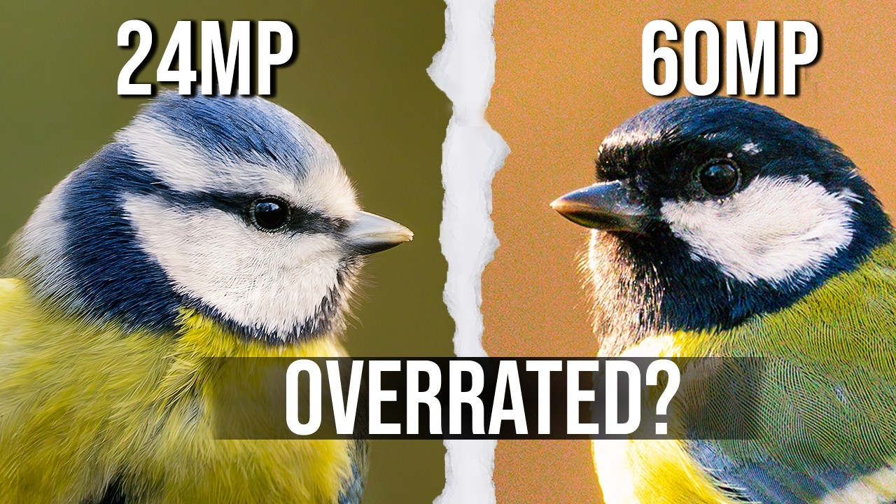 Are High Megapixel Cameras Still Worth It? | High MP vs AI Upscalling