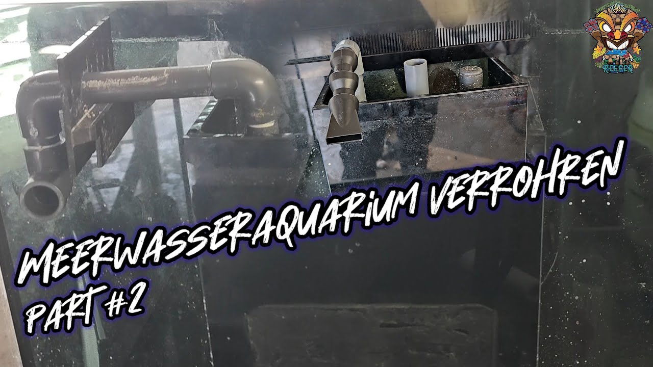 Meerwasser Aquarium verrohren.