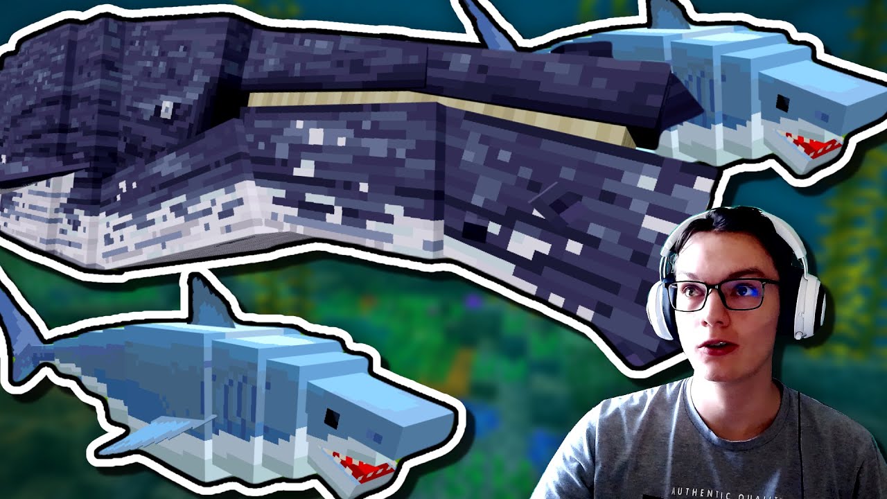 MORSKI PSI, KITI IN &Scaron;E VEČ! | Minecraft Ocean Expansion