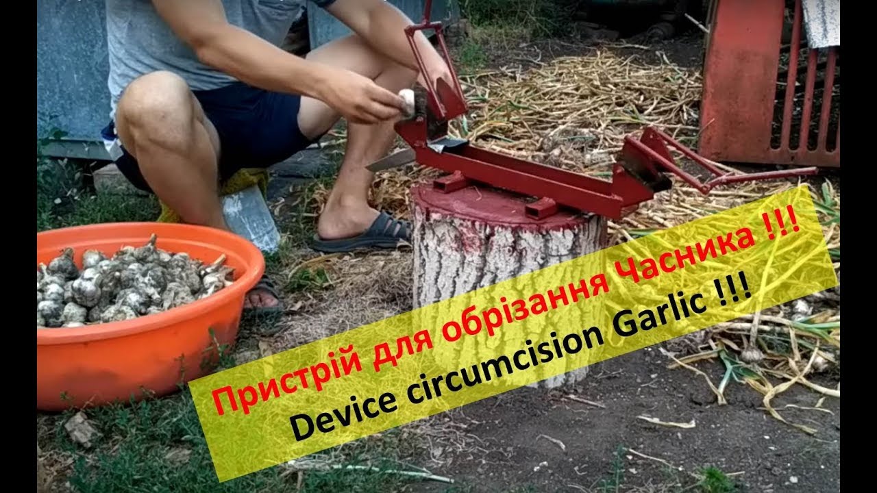 Цікавий Пристрій для обрізання Часнику | Огляд та Принцип Роботи | Device for circumcision Garlic
