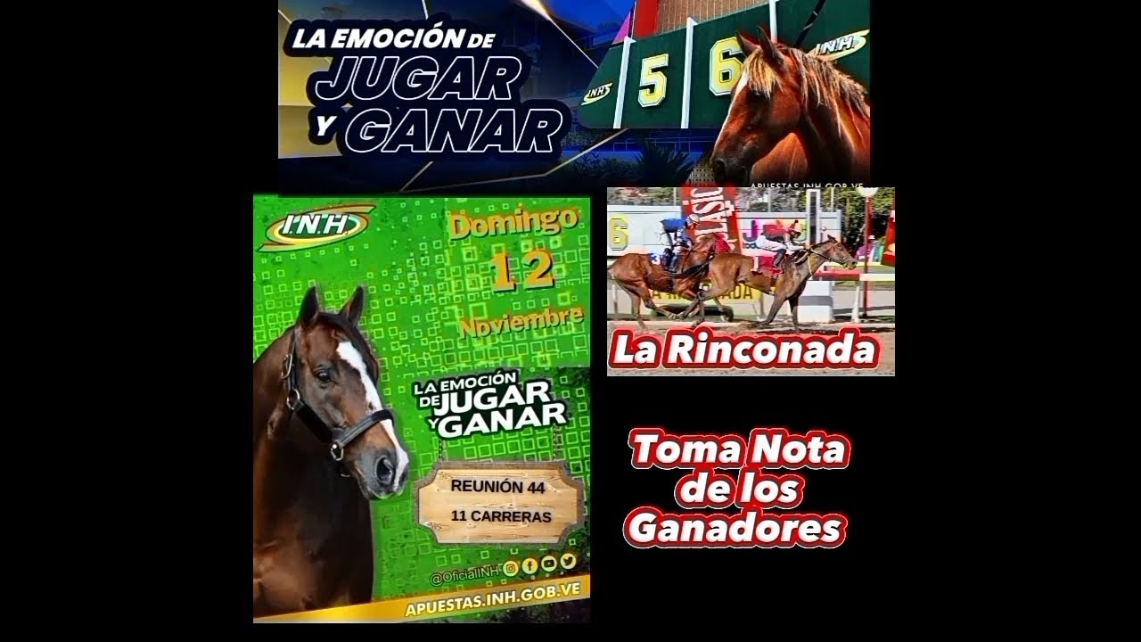 #LaRinconada. / Las  Fijas para Conseguir el Fin de Semana. #Hipismo.
