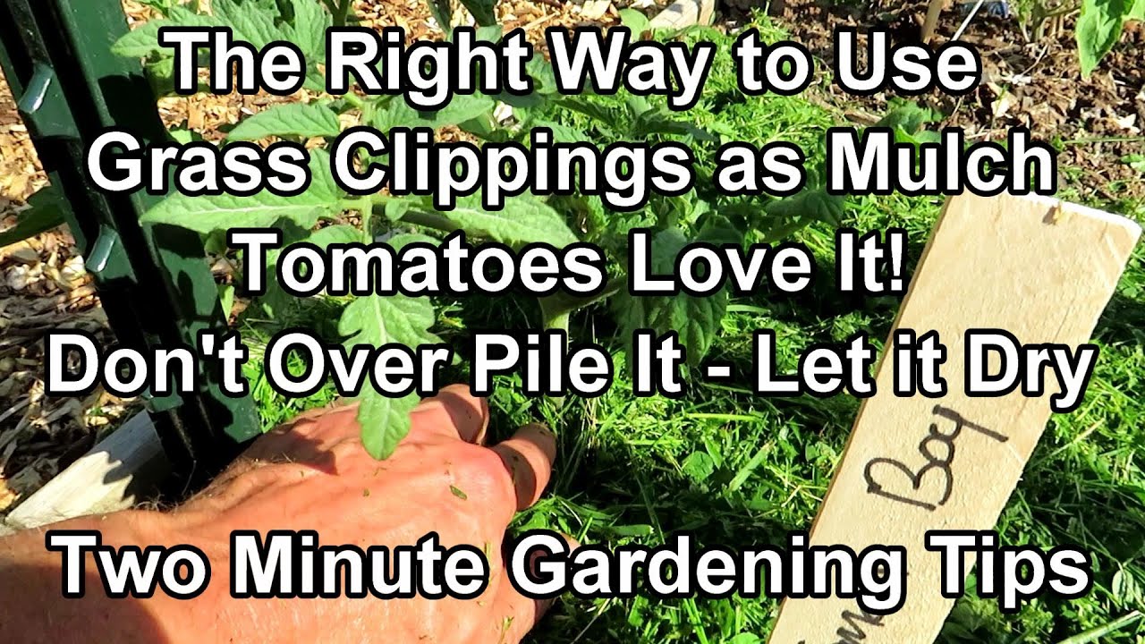 The Simple Right Way to Use Grass Clipping as a Garden Mulch - Conserve Water!: Two Minute TRG Tips