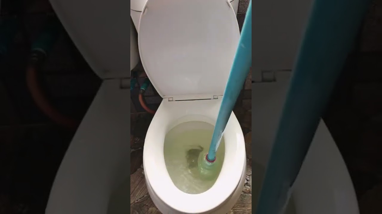 วิธีแก้ส้วมตัน ราดน้ำไม่ลง l How to toilet won't flush l แม่นกปัญณิตา