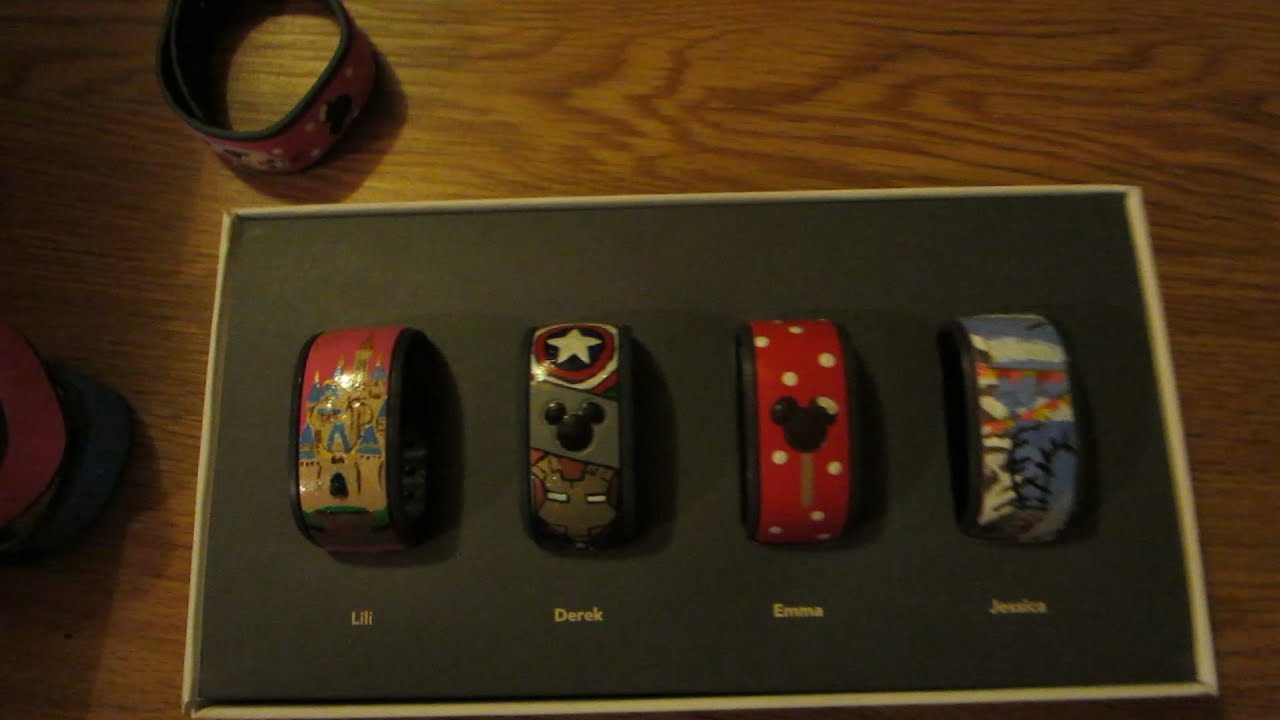 Magic Bands Complete (02.08.2015 - Day 405)