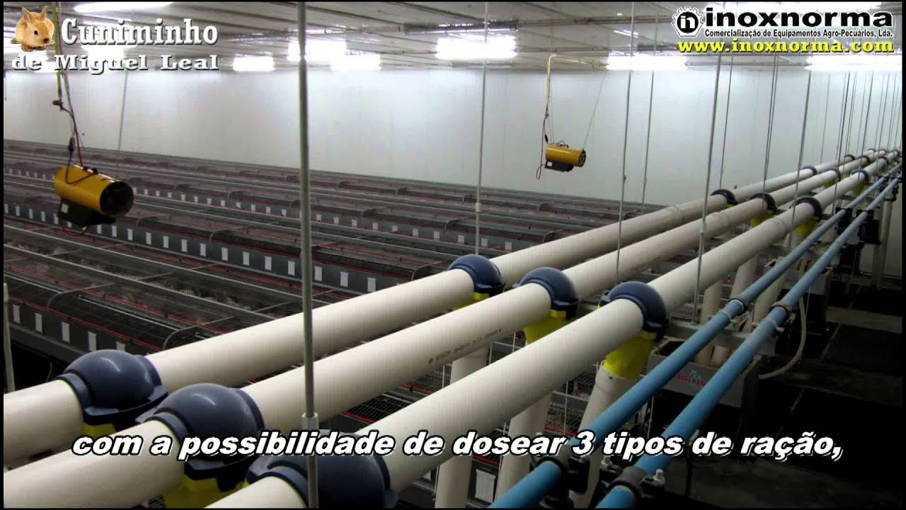 Cuniminho