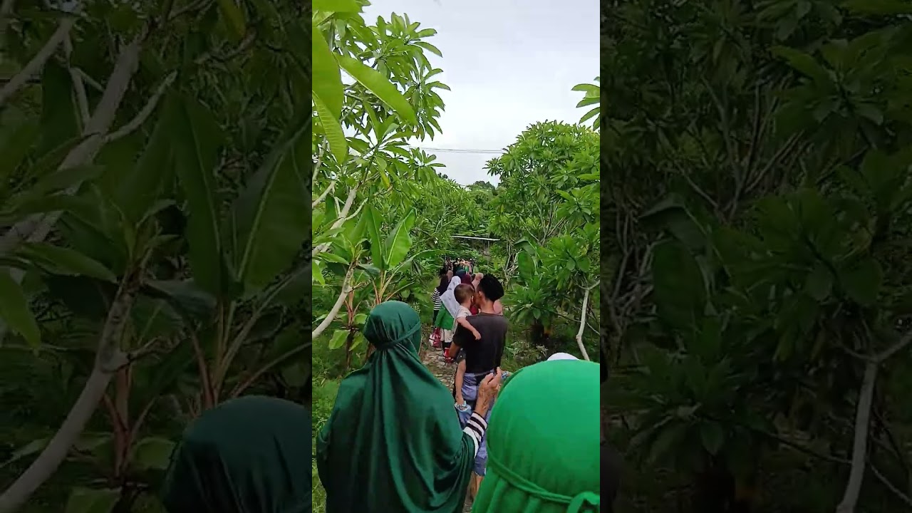 Layatan di Pekuburan penujak mesakn paling galuh arak badek arak 8 hektar kurang lebih