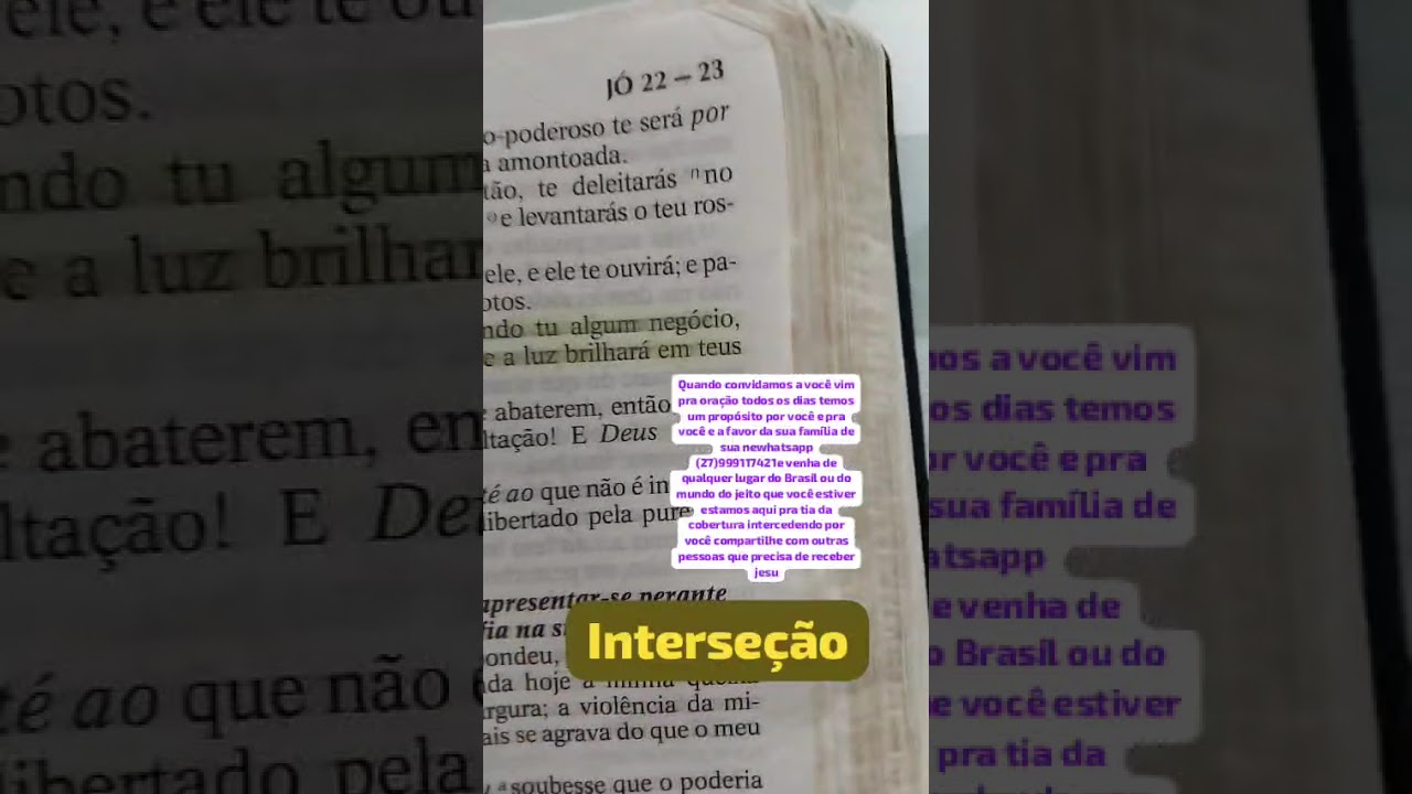 8 de fevereiro de 2026