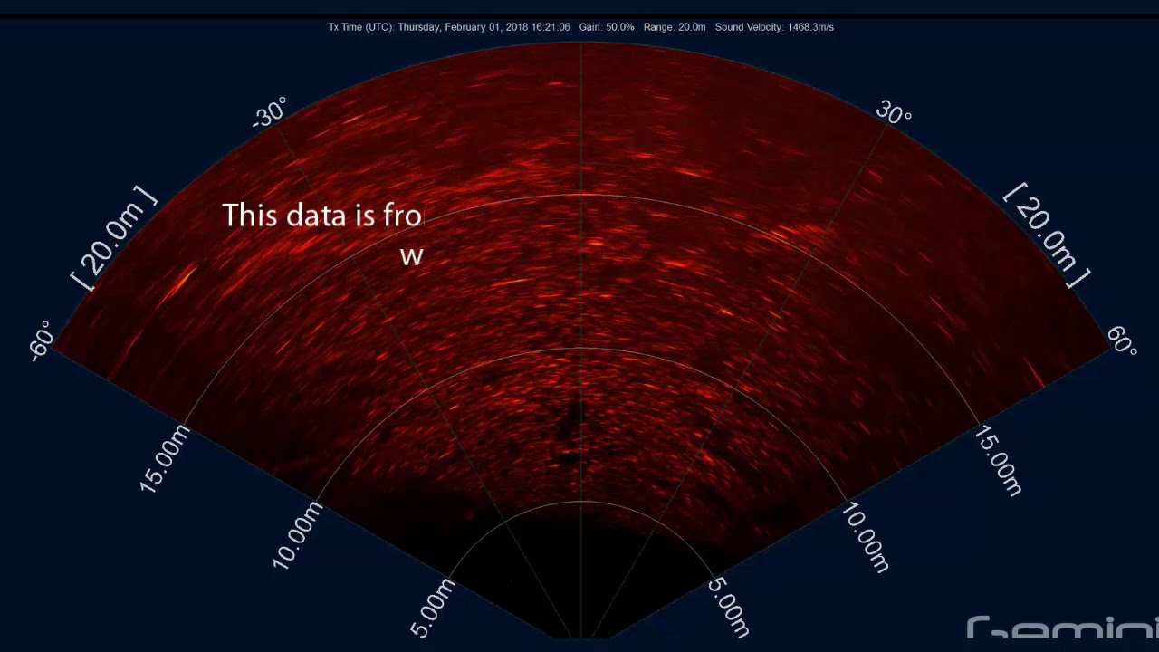 Detecting aquatic life using sonar technology