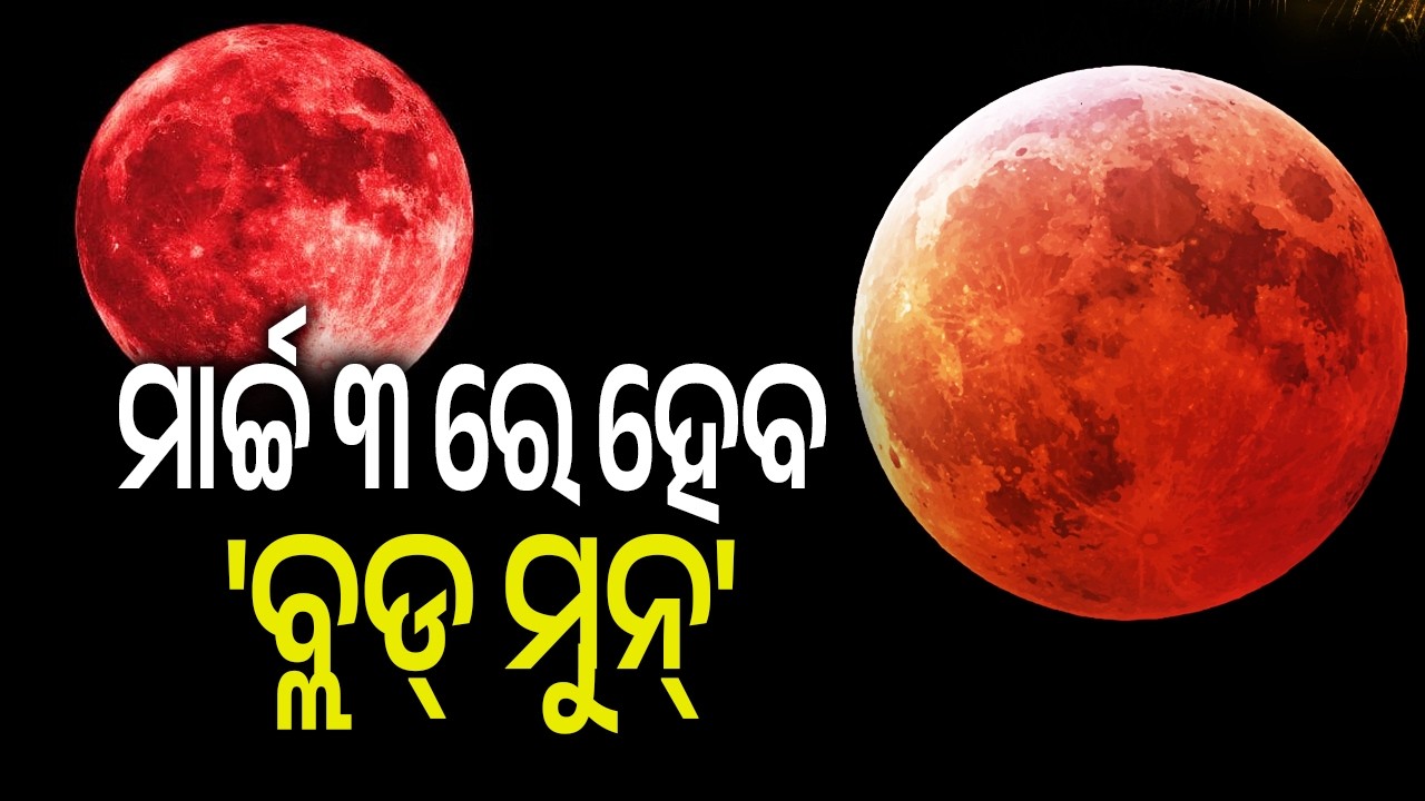 ୨୦୨୯ ପୂର୍ବରୁ ଶେଷ ପୂର୍ଣ୍ଣ ଚନ୍ଦ୍ରଗ୍ରହଣ, ମାର୍ଚ୍ଚ ୩ ରେ ହେବାକୁ ଯାଉଛି 'ବ୍ଲଡ୍ ମୁନ୍' | Kalinga TV