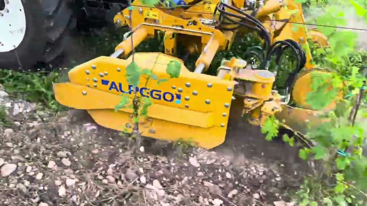 Prova ALPEGO AGILE presso IIS IL TAGLIAMENTO con NEW HOLLAND T4.100F
