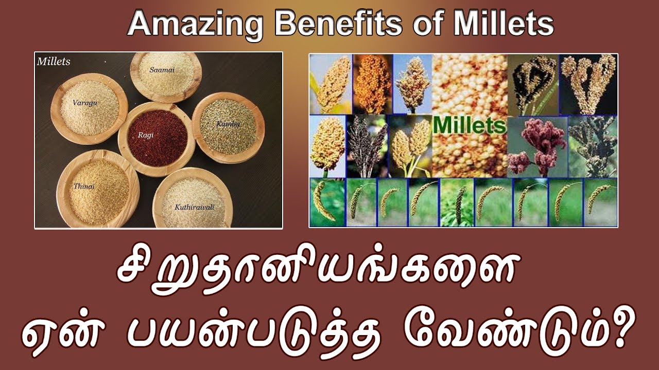 சிறுதானியங்களை ஏன் பயன்படுத்த வேண்டும்? | Amazing benefits of Millets