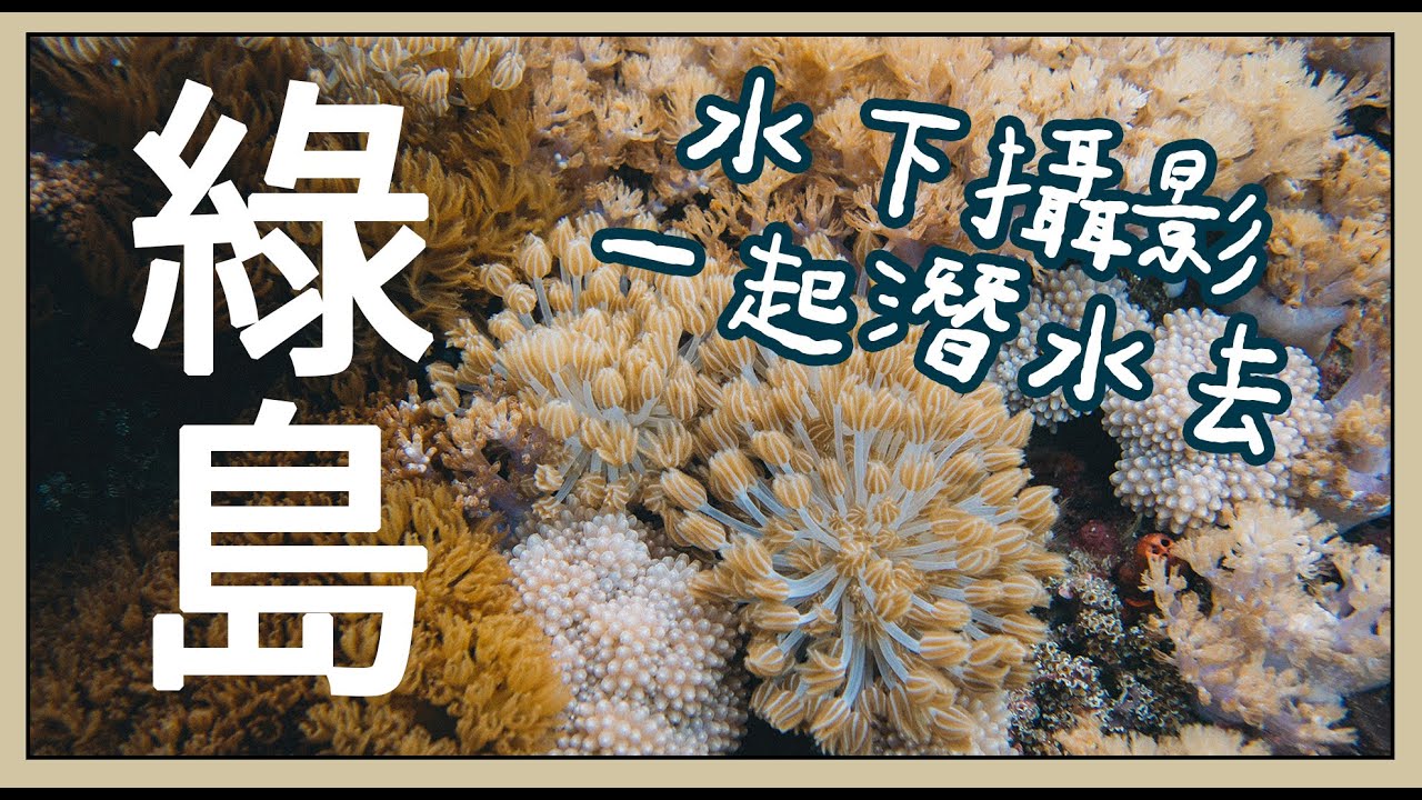 綠島潛水攝影，簡單器材也能享受水下拍照樂趣！#潛水