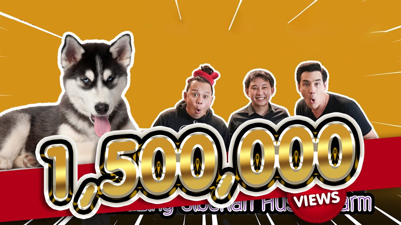 Siberian husky farm สุดยอดฟาร์ม ไซบีเรียน ฮัสกี้ - เพื่อนรักสัตว์เอ้ย l EP.31