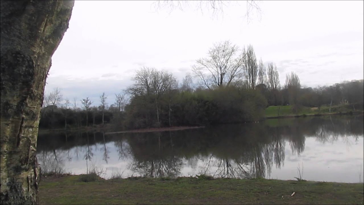 TIME-LAPSE | FOX VLOGGEUR