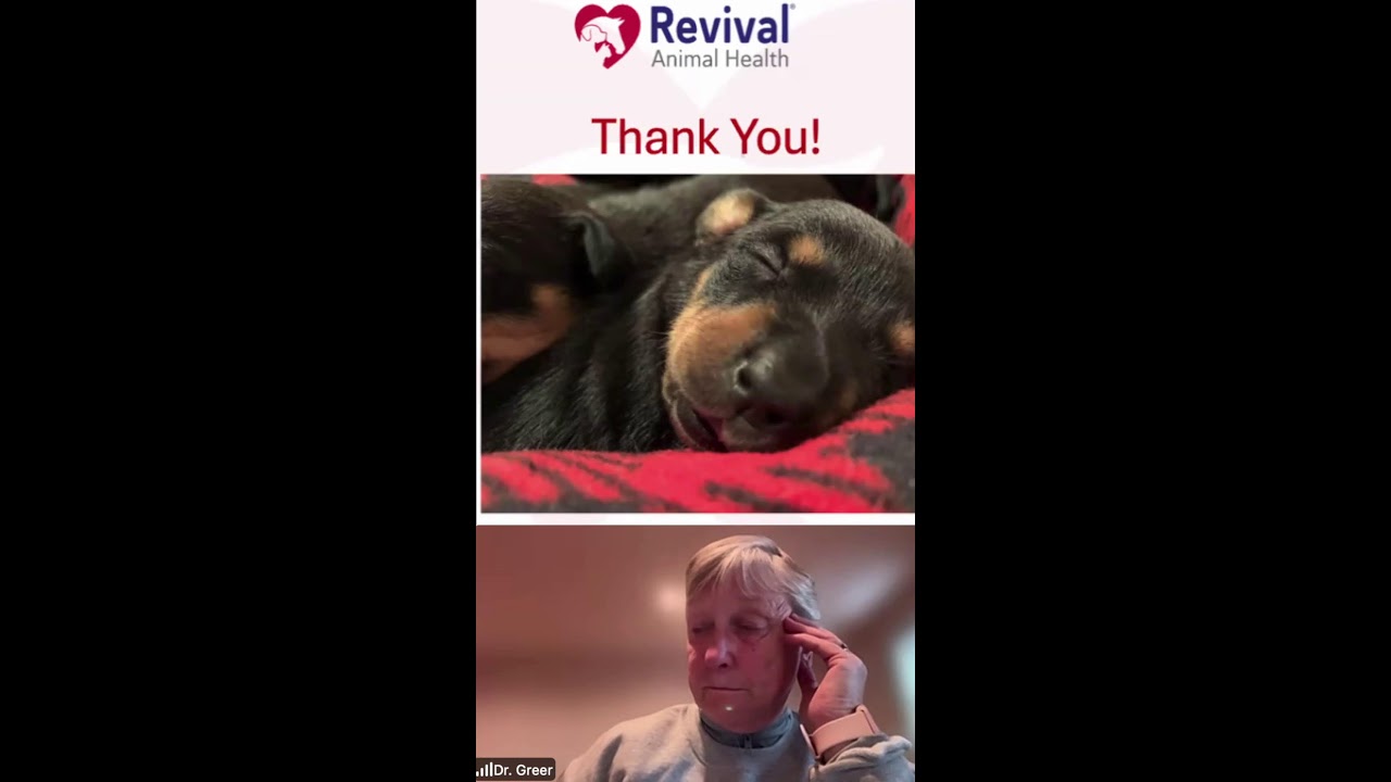Revival Animal Health
