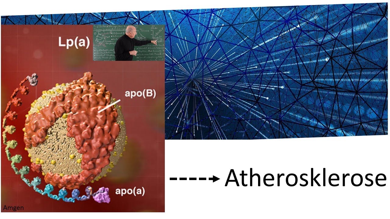 Lipoprotein(a) - ein funktionsloser Teufel der Atherosklerose
