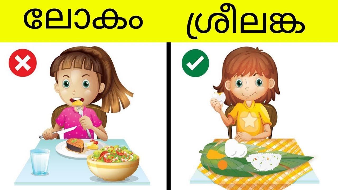 ശ്രീലങ്കയെക്കുറിച്ചുള്ള 25 അത്ഭുതകരമായ വസ്തുതകൾ | Amazing facts about Sri Lanka