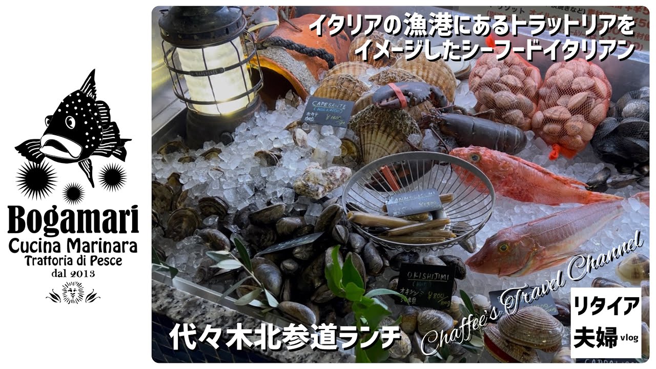 【代々木北参道ランチ】ボガマリ・クチーナ・マリナーラ《リタイア夫婦vlog》イタリアの漁港にあるトラットリアをイメージしたレストラン/ CHAFFEE’S TRAVEL CHANNEL 