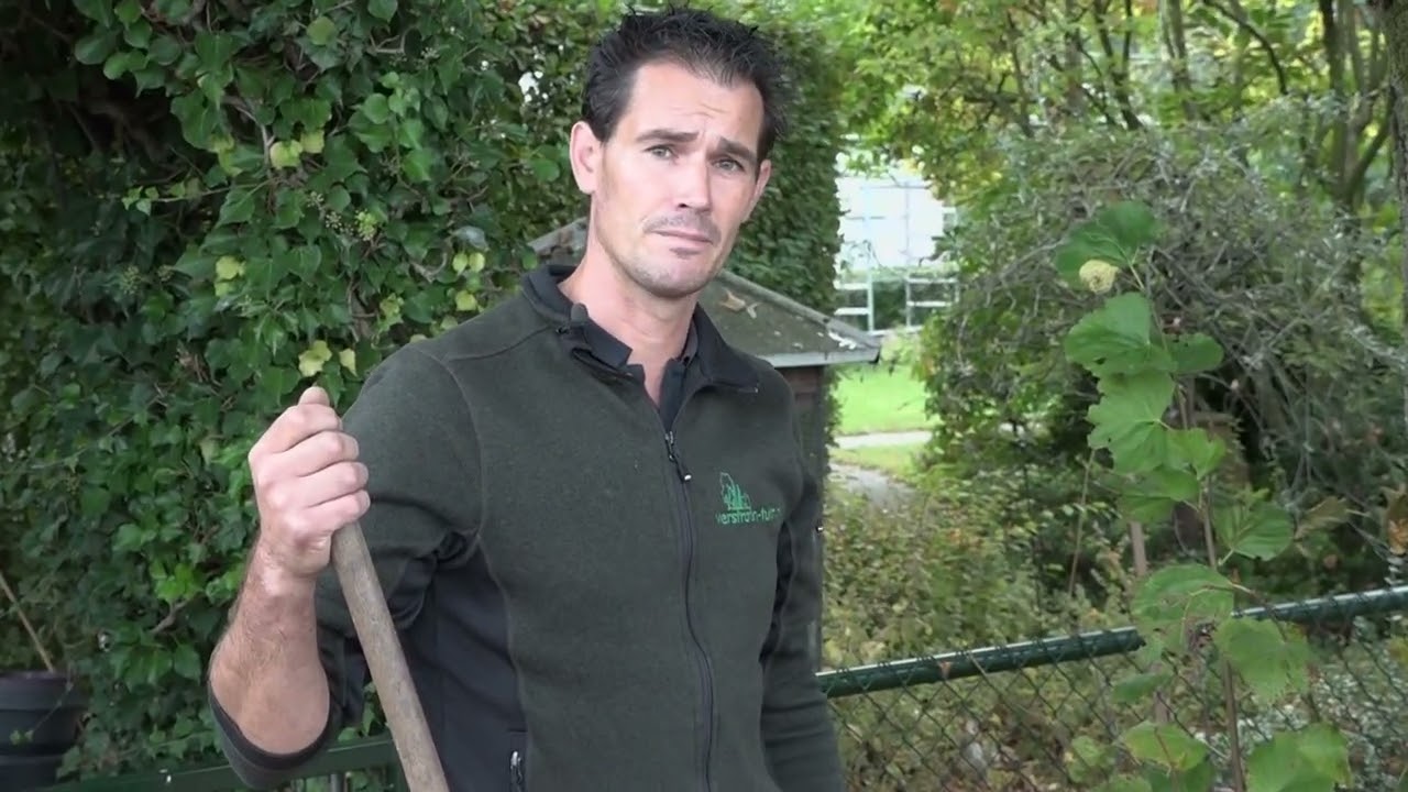 Bladeren in de tuin herfst - Verstraten Tuincentrum