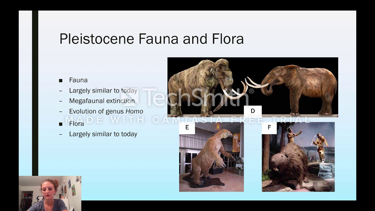 Pleistocene Epoch