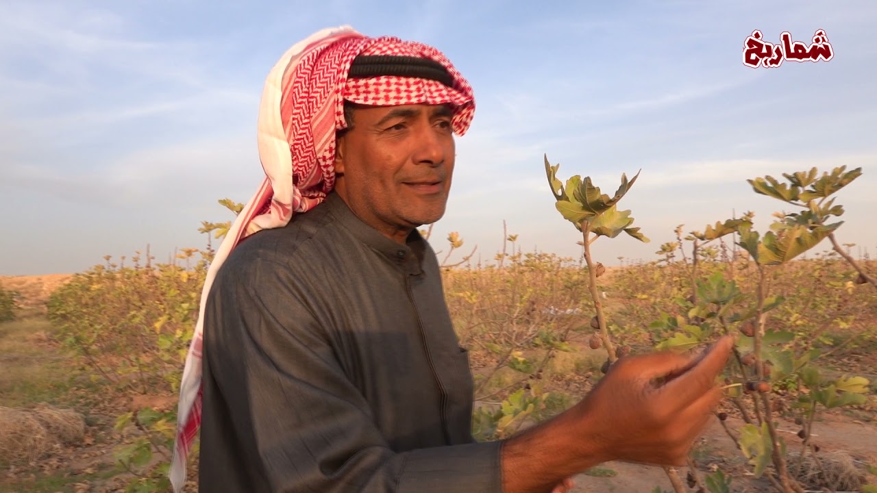 مشروع العبيد الزراعي بعنيزة  ولإستعداد للموسم الجديد