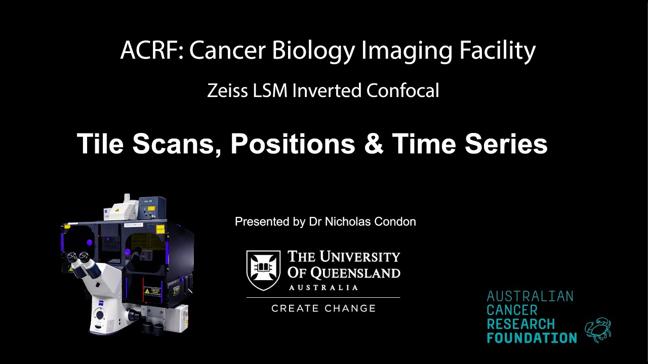 5. Zeiss LSM Confocal - Tiling, Positions & Time Series