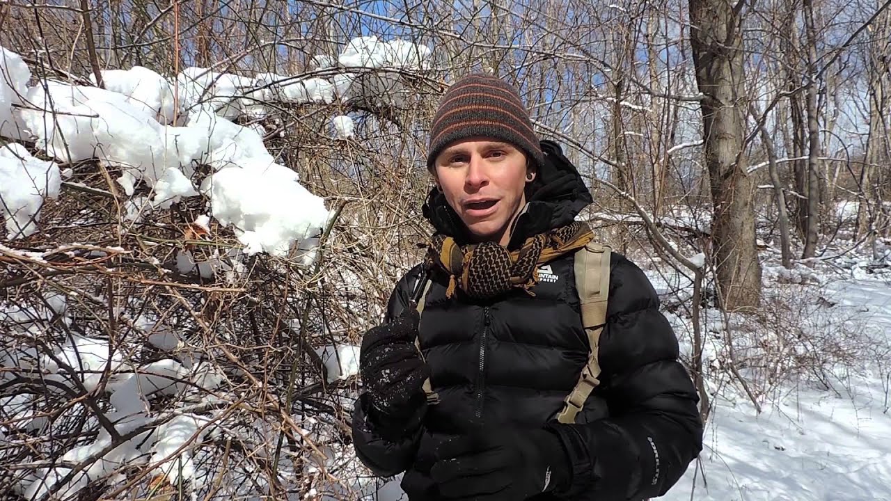 Winter Plant, Tree, & Mushroom Identification with Adam Haritan (Learn Your Land)