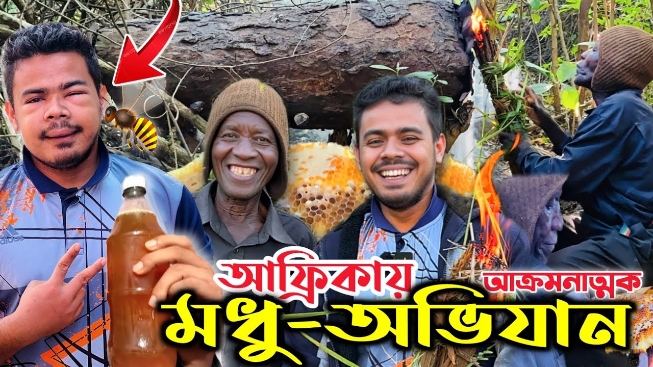 আফ্রিকার জঙ্গলে ভয়ংকর মধু সংগ্রহঃ পাল্টে গেলো বাংলাদেশী চেহারা! Honey Collection from African Forest