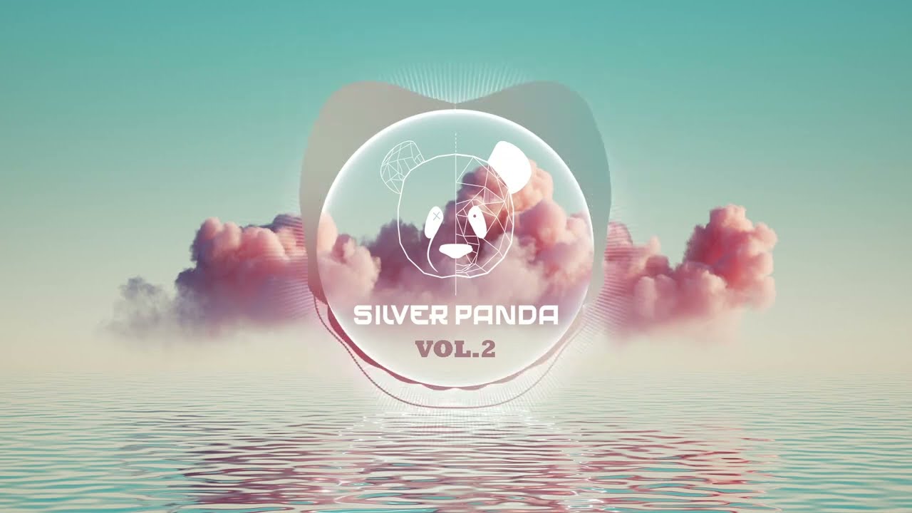 Silver Panda Melodic Sessions - Vol. 2