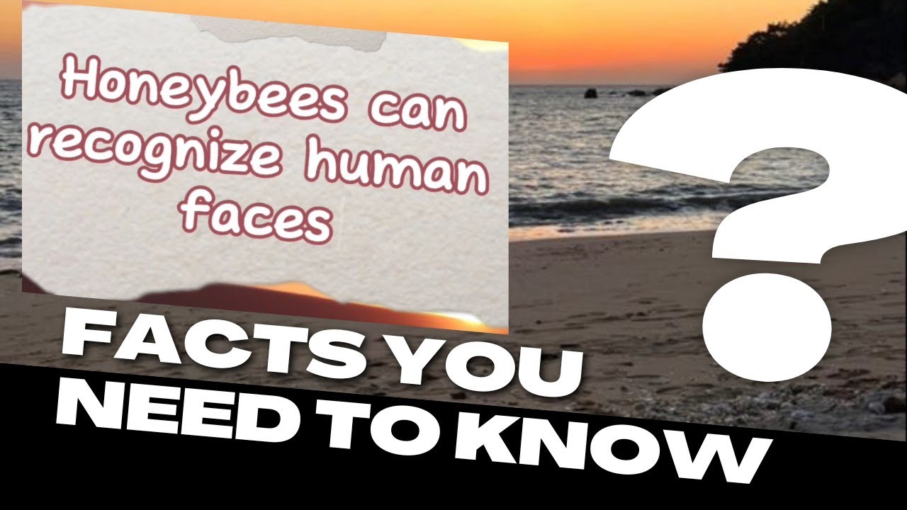 Facts that will blow your mind || Bloom with Knowledge