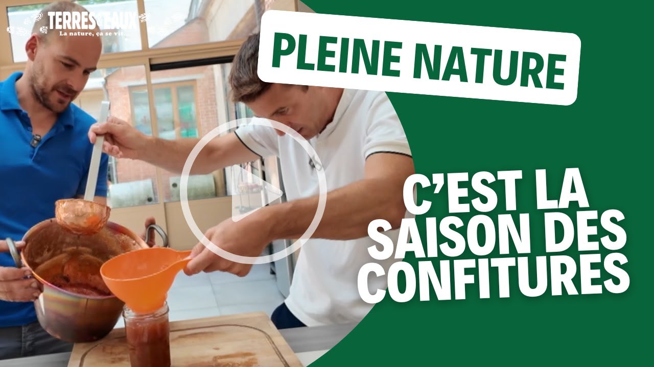 C'est la saison des confitures ! | Pleine Nature sur Wéo – Cuisine maison & terroir