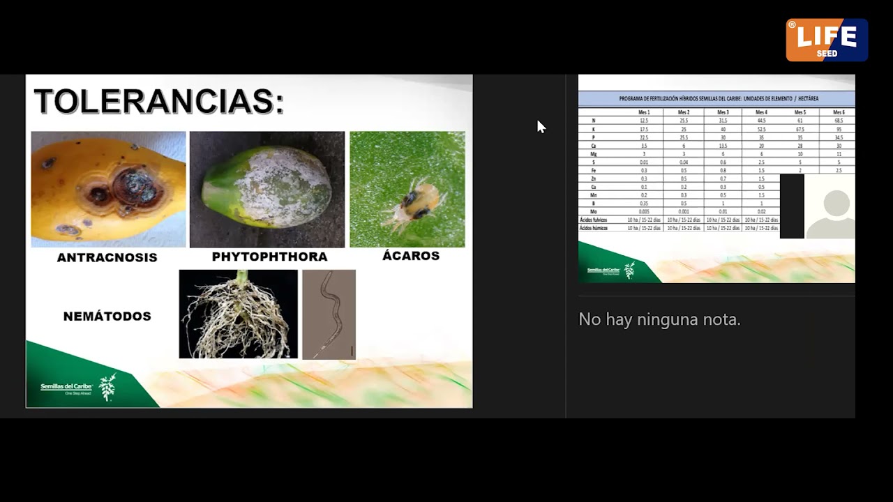 Charla Técnica de Papaya Intenzza y Pasion Red